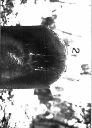 Grabstein A I/2/5A