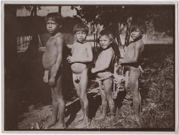 Kainguá Indians