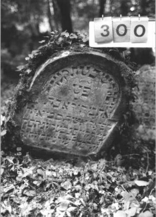 Grabstein 300 (Index: 99799825) Material: Sandstein Zustand: verwittert, Stele nach vorne geneigt Maße HxBxT: 87x61x8 cm Beschreibung: Stele, eingezogener Rundbogenabschluß, Schriftfeld eingetieft: Grabstein 300