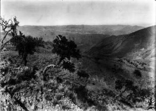 Das Pilcomayotal : Blick über eine Berglandschaft mit Tal und Vegetation