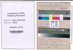 Entnazifizierung Anna Niessen , geb. 01.01.1913 (Kaufm.Angestellte)