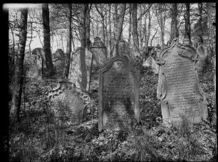 Bödigheim Jüdischer Friedhof Grabstein