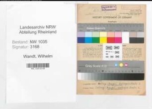 Entnazifizierung Wilhelm Wandt , geb. 03.10.1912 (Steiger)