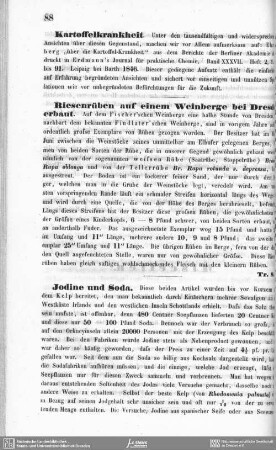 Kartoffelkrankheit