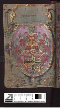 Maximilian Erzherzog von Österreich, Eintrag und Wappen