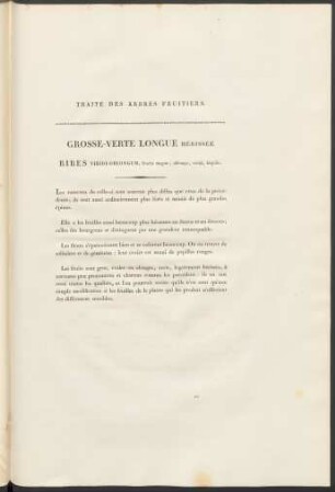 Verte-Blanche Hérissée. Ribes Albo-Viridis ...