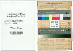Entnazifizierung Peter Wilms , geb. 05.03.1901 (Schmied)