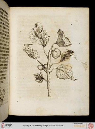 Tafeln und Text 41-50