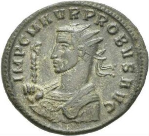 Probus