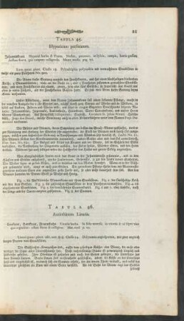 Tabula 45-47