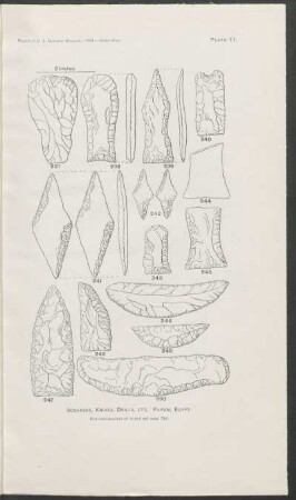 Plate 11. - Scrapers, knives, drills, etc. Fayum, Egypt.