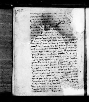 9) Kommentare zum Dekalog (fol. 120r-130r, 130r-131v und 131v-137r) [abweichende Seitenangabe zum Katalogisat unter Vorbehalt]