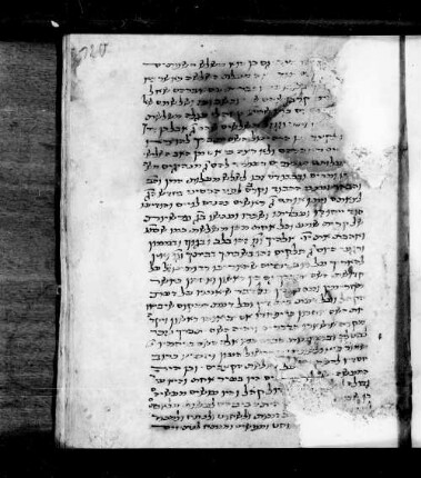 9) Kommentare zum Dekalog (fol. 120r-130r, 130r-131v und 131v-137r) [abweichende Seitenangabe zum Katalogisat unter Vorbehalt]