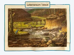 Lebensraum Talaue