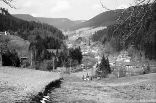 Alpirsbach: Kinzigtal oberhalb Alpirsbach