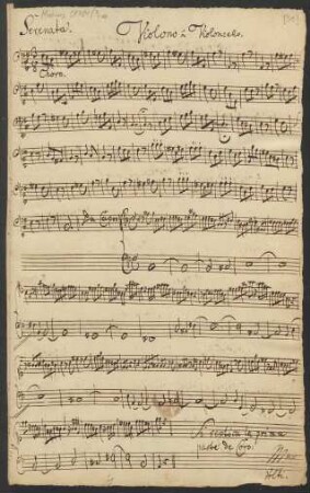 Violono ou Violoncello