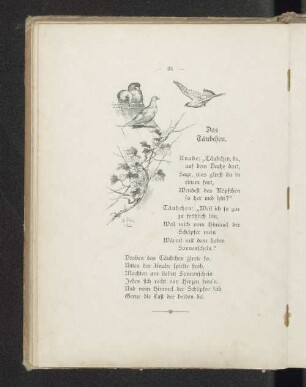 Das Täubchen.