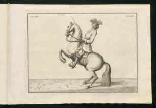 Illustration: XXXVIII. Le Cerf.