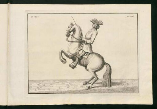 Illustration: XXXVIII. Le Cerf.