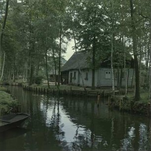 Spreewald : Bauernhaus im Spreewald