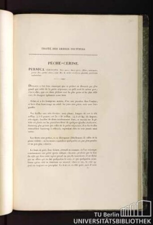Traité des arbres fruitiers. Pêche-Cerise. persica cerasiana : flore parvo; fructu parvo, glabro, mucronato; partim albo, partim rubro; carne alba de nucleo secedente; glandulis petiolorum reniformibus.