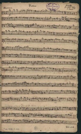 Violono