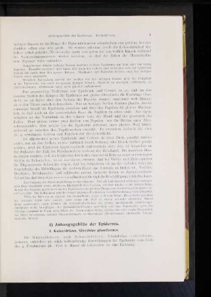 d) Anhangsgebilde der Epidermis.