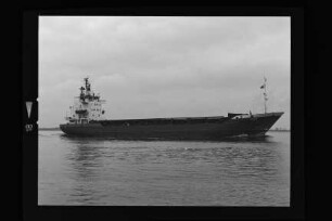 Jan (1976)