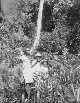 Eintritt in den Urwald bei Lupembe : Tanganyika Territory (heute: Tansania). Eintritt in den Urwald bei Lupembe, Ubenaland, 1936