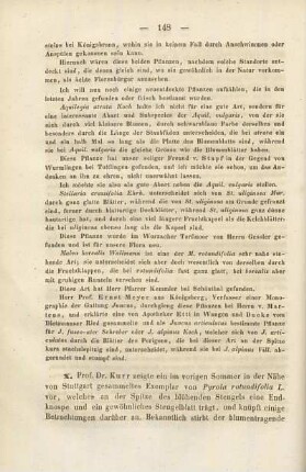 Stadtschultheiss Titot: Ficus elastica mit Früchten