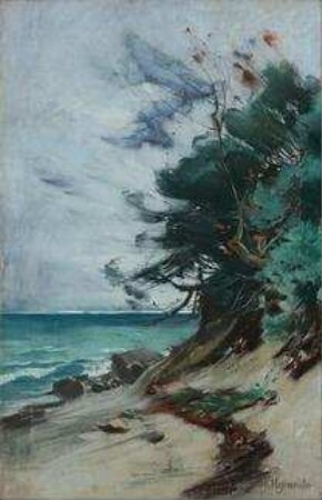 Küste bei Stubbenkammer/Rügen