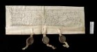 Ritter Wiprecht (Wypprecht) Sturmfeder bekennt, dass er dem Johannes von Sachsenheim, Komtur zu Ellingen den 24. Teil des Zehnten von Bietigheim mit allen Nutzungen gibt.