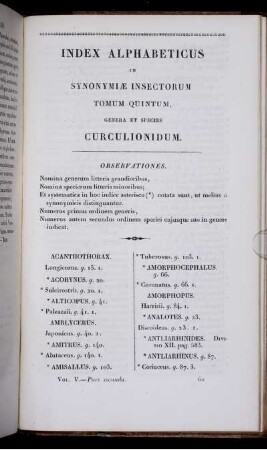Index Alphabeticus in Synonymiæ Insectorum Tomum Quintum, Genera et Species Curculionidum.