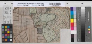 Velen? (Velen) Lageplan eines Hofes und dessen Ländereien 18.Jh. o.M. 20 x 33 kol. Zeichnung Landsberg-Velen Nr. 736