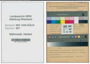 Entnazifizierung Herbert Malinowski , geb. 18.04.1908 (Ziegelmeister)