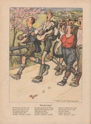 "Wandervögel"