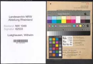 Entnazifizierung Wilhelm Lueghausen , geb. 11.09.1903 (Wachtmeister)