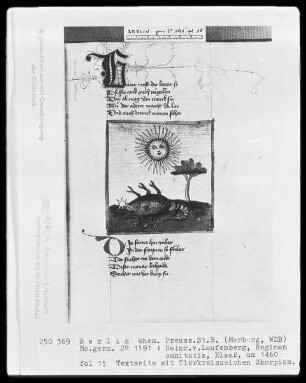Heinrich von Laufenberg, Regimen sanitatis, deutsch — Skorpion, Folio 15recto