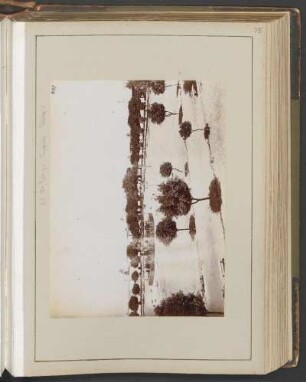 [Plazafontaine und Plaza Trujillo, lt- Photoliste Uhle]