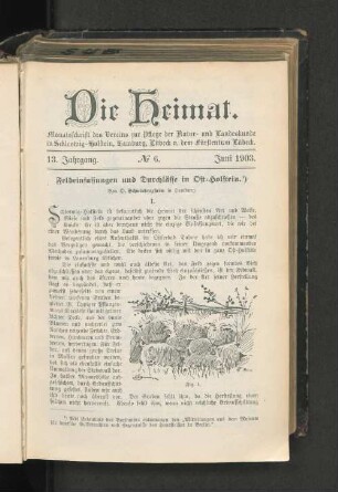 13. Jahrgang. No. 6. Juni 1903.