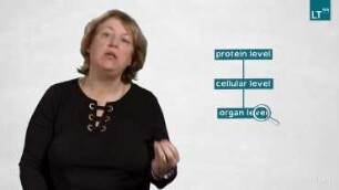 Skin Cell Regeneration after Disease and upon Ageing