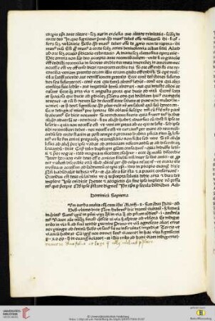 Dominica Septima