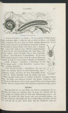 Insekten.