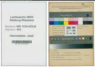 Entnazifizierung Josef Hammelstein , geb. 12.06.1896 (Schmied)