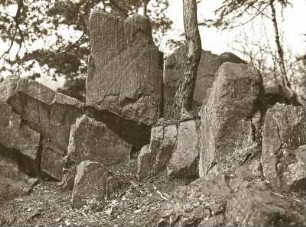 Mittelsächsisches Bergland. Rochsburg. Brausetal. Granulitklippe