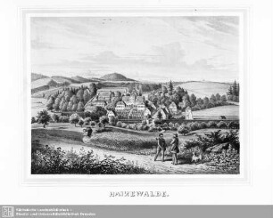 Hainewalde