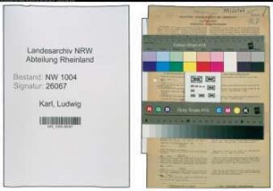 Entnazifizierung Ludwig Karl , geb. 03.08.1908 (Autoschlosser)
