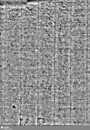 Lilienschild + Buchstaben ICH / Buchstaben KB = S.1/2