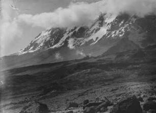 Landschaft mit Kibo : Blick über eine Ebene auf den verschneiten Kibo