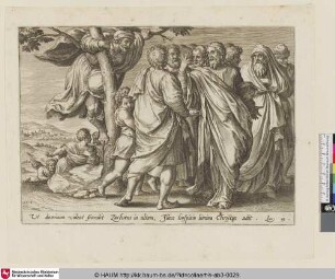 [Zacchaeus in the Tree; Zachäus im Baum]